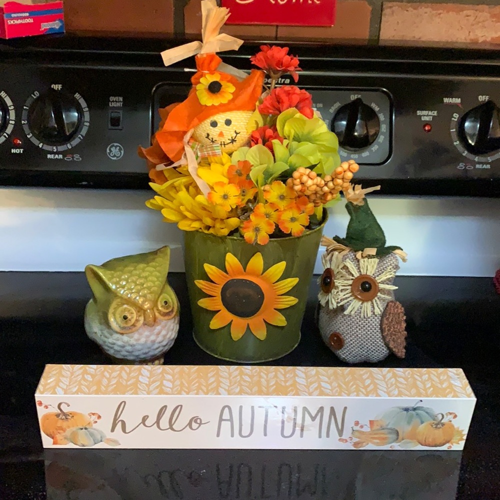 4 piece autum decor with owls